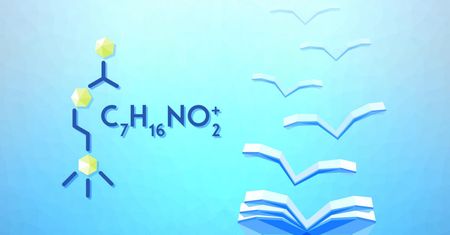 Acetylocholina – źródła, rola, niedobór, nadmiar
