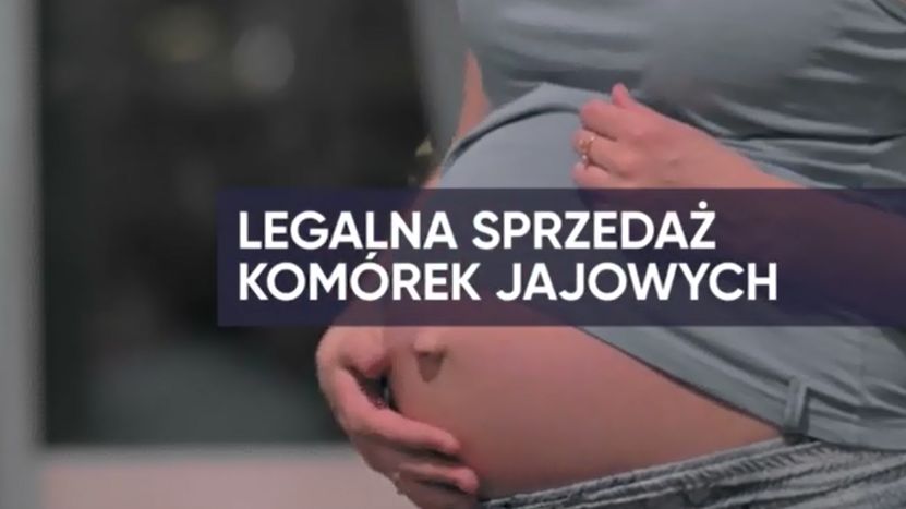 W Polsce komórki jajowe można sprzedać do klinik leczenia niepłodności 