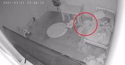 Przerażające nagranie z dziecięcego pokoju. Ojciec uważa, że to paranormalne zjawisko