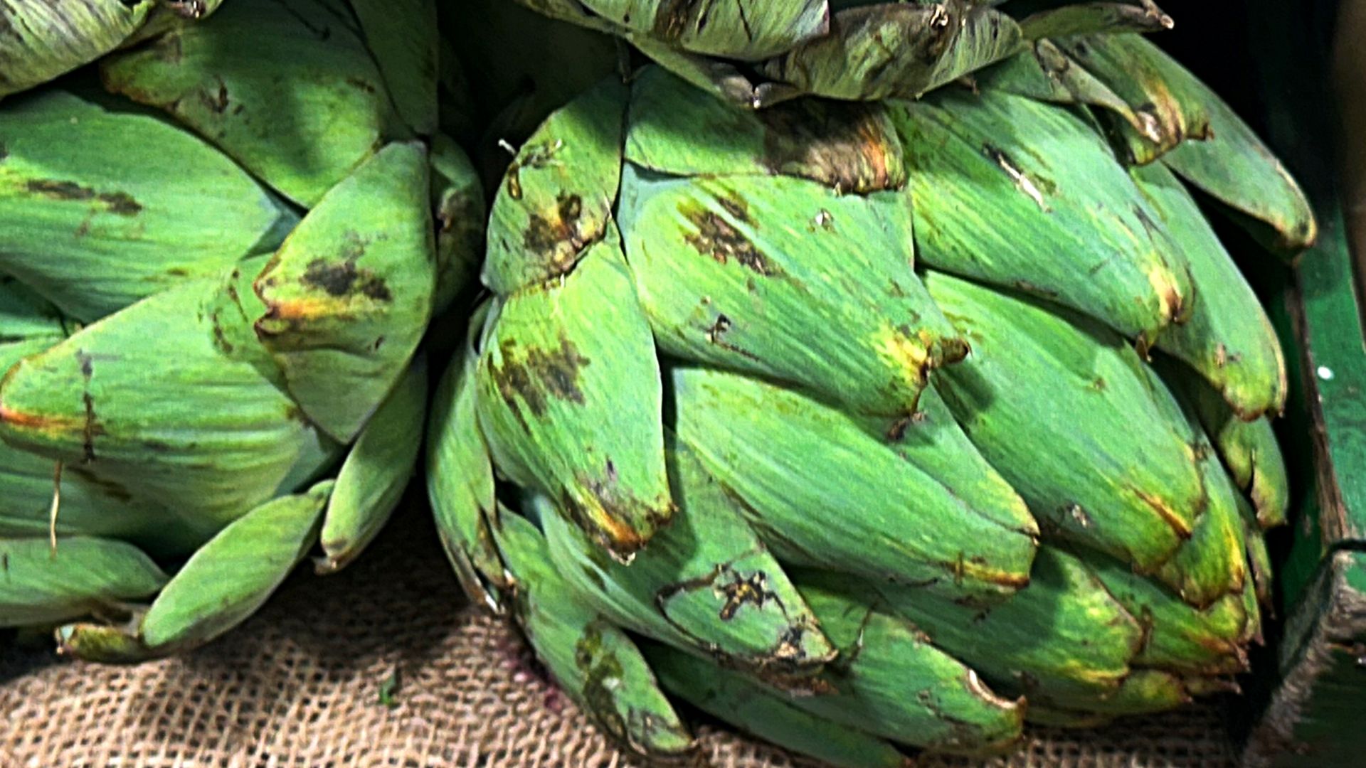 Karczoch to warzywo, które zasługuje na więcej miejsca w codziennej diecie.