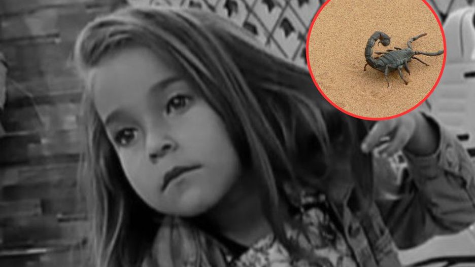 Szpital odesłał dziecko ugryzione przez skorpiona. Dziewczynka nie żyje