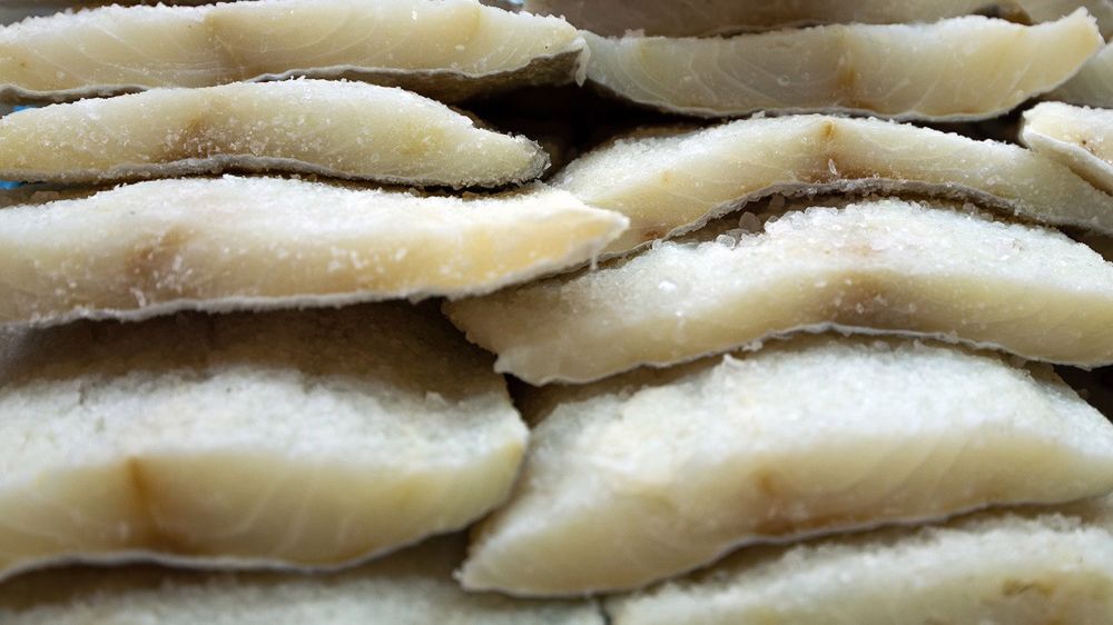 Które ryby zawierają najwięcej rtęci?