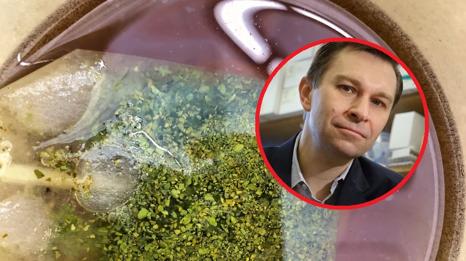 Biolog z Harvardu zdradza cztery banalne sposoby na odmłodzenie