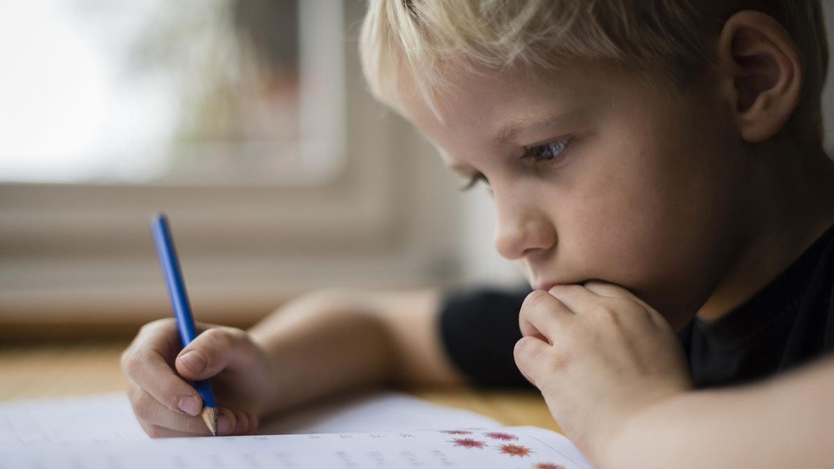 Rodzaje zdań w języku polskim dzieci poznają już w szkole podstawowej.