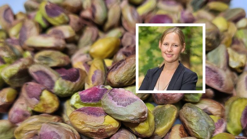 Pistacje wspierają jelita i chronią przed cukrzycą