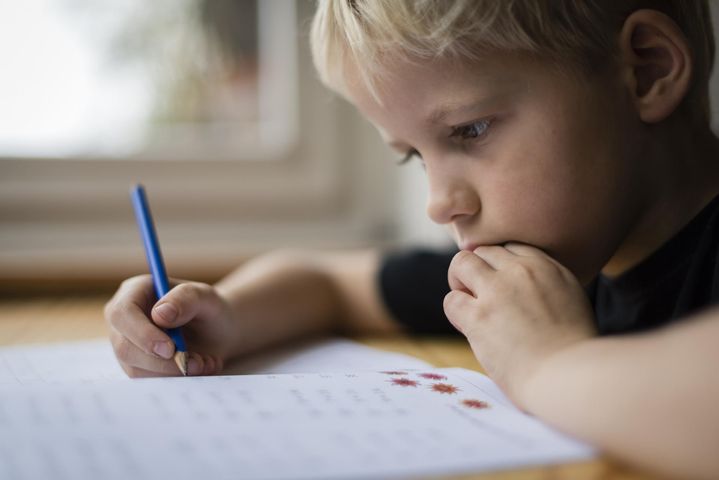 Rodzaje zdań w języku polskim dzieci poznają już w szkole podstawowej.