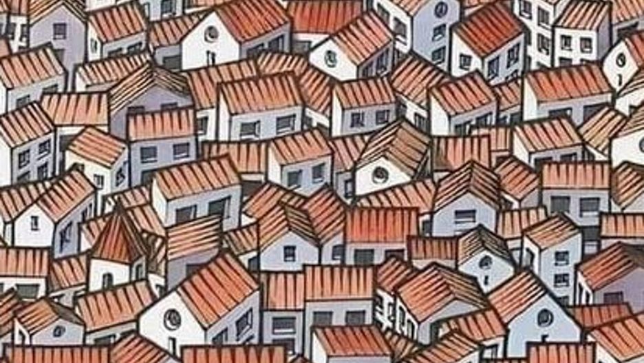 Gdzie ukrył się kot? Nieliczni dają radę w 15 sekund