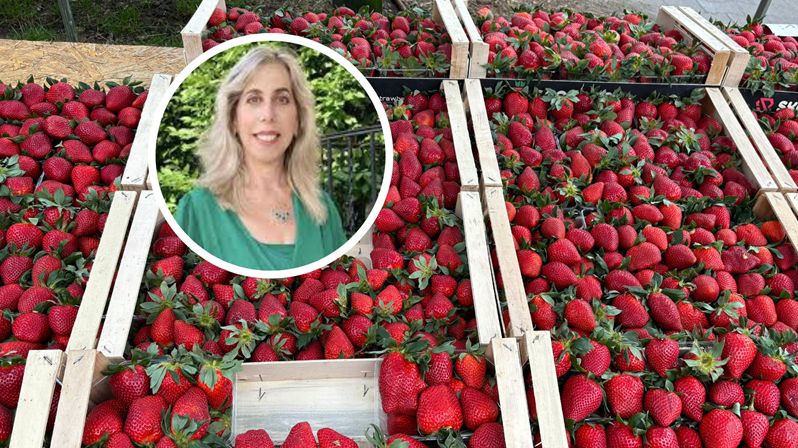 Truskawki są bogatym źródłem witamin, antyoksydantów oraz błonnika