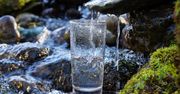 Z głębin do butelki. Jaką drogę przebywa woda źródlana, zanim trafi na nasze stoły?