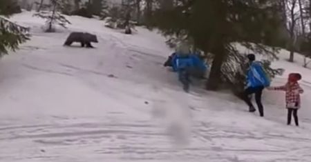 Spotkali niedźwiedzia w Tatrach. Nagranie mrozi krew w żyłach