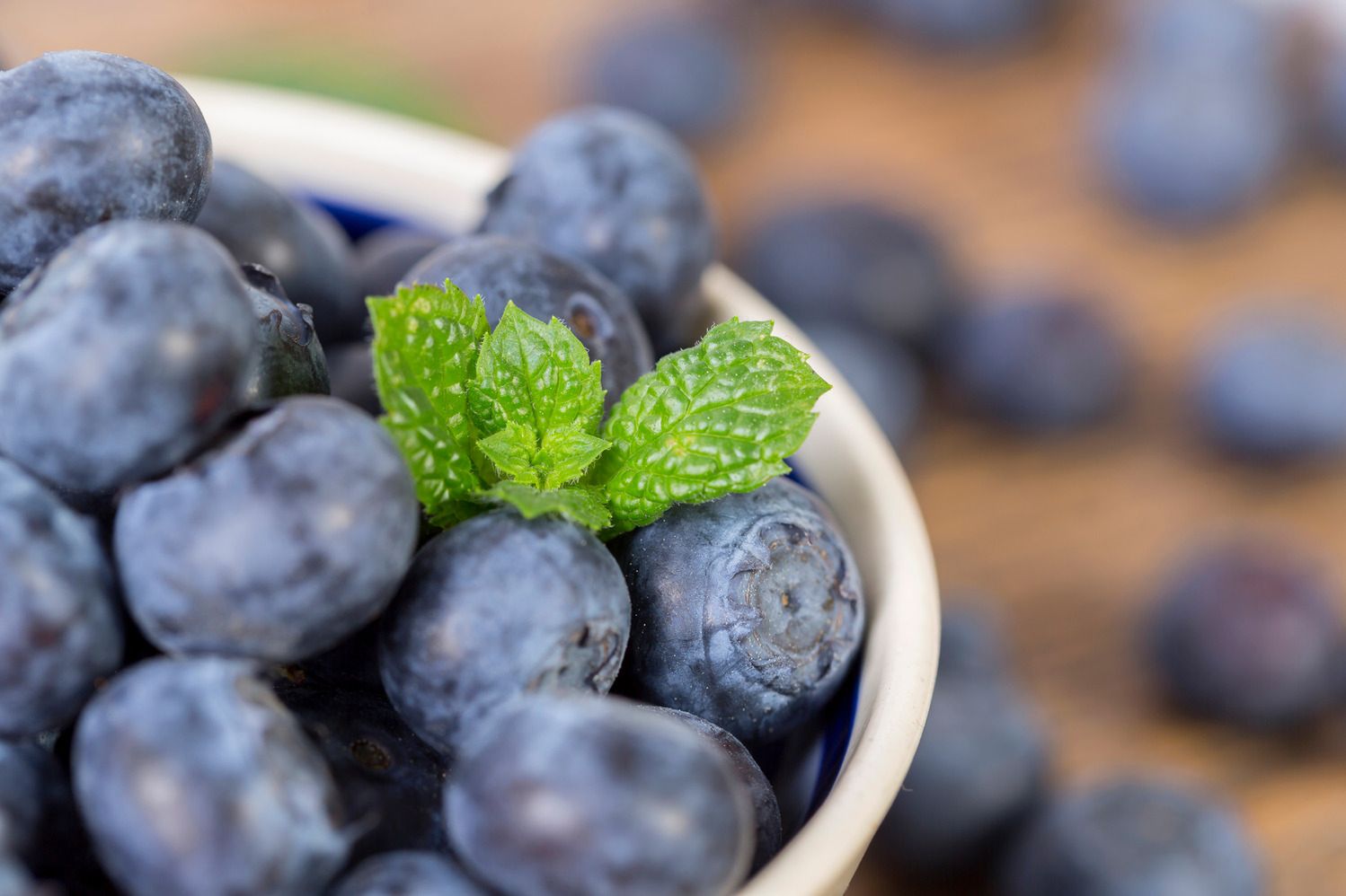 Borówki amerykańskie