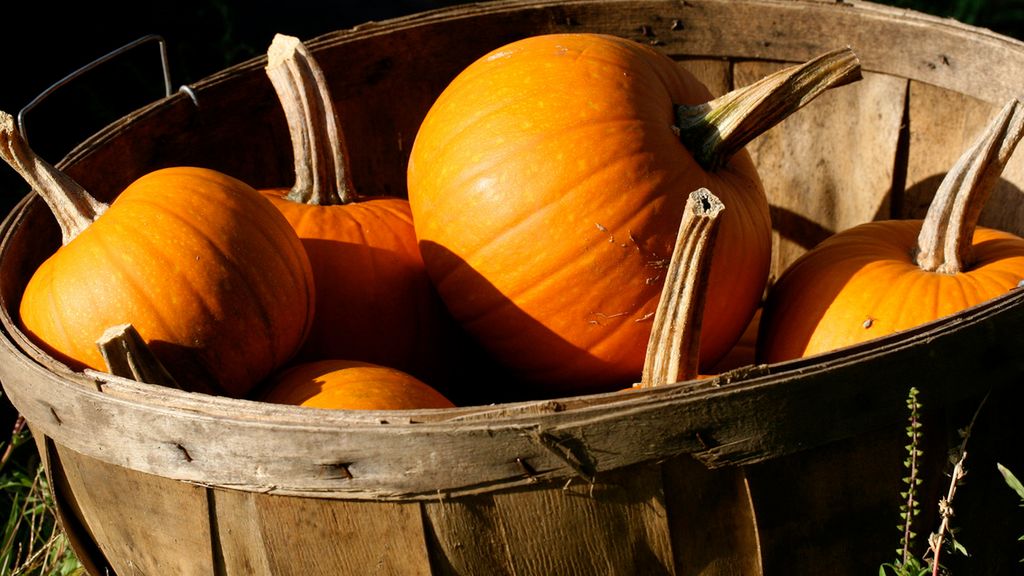 7 najzdrowszych polskich produktów, które powinny wejść do naszego jesiennego menu