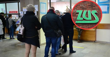 Liczba krótkich L4 to plaga. ZUS podał najnowsze dane