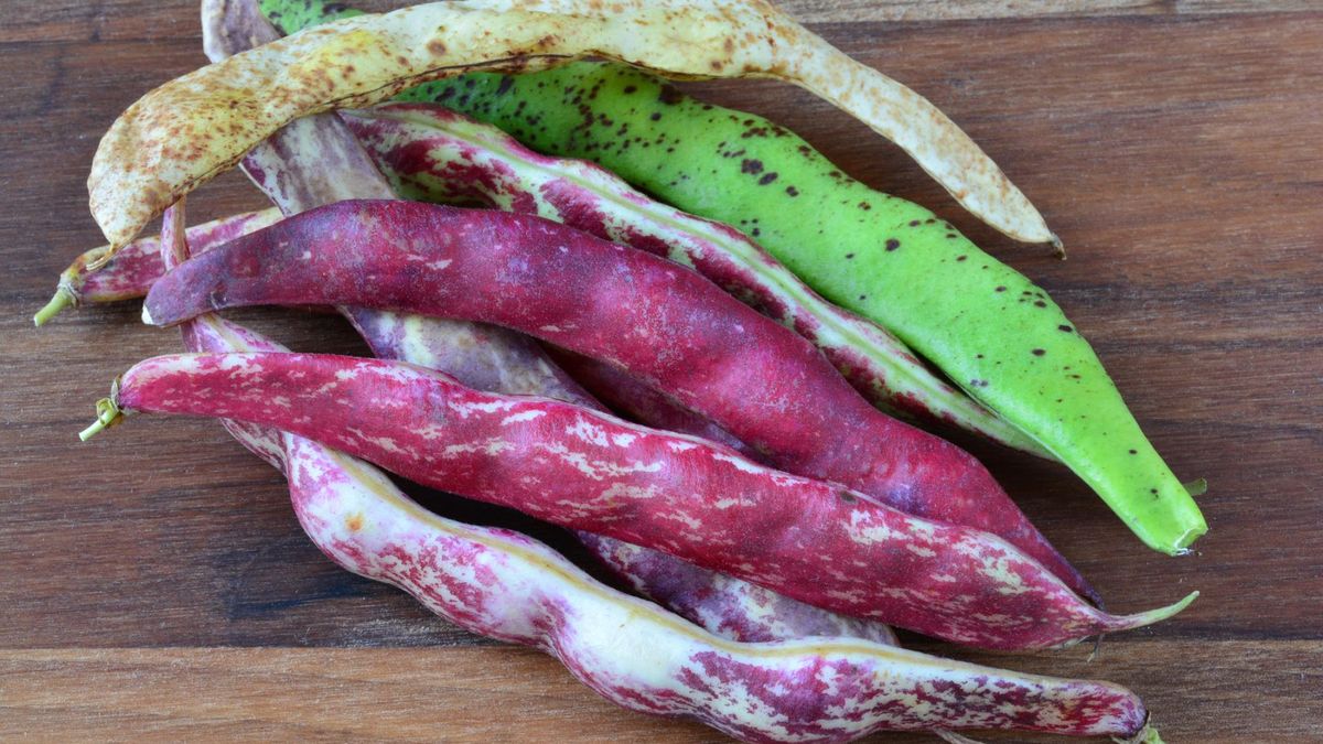 Fasola to sojusznik zdrowego serca. Obniża cholesterol, ciśnienie i cukier