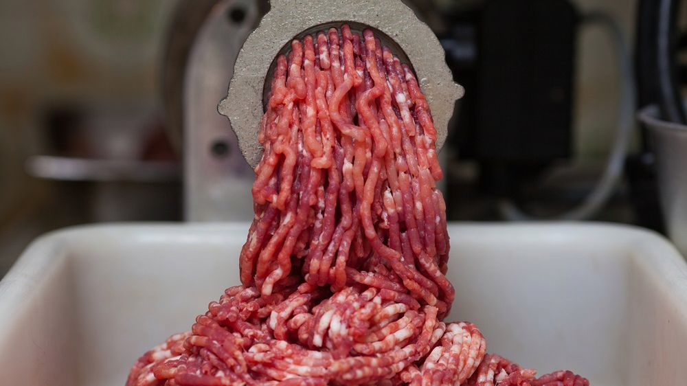 Spożycie skażonej wody oraz zjedzenie niedogotowanego lub skażonego mięsa jest groźne dla zdrowia