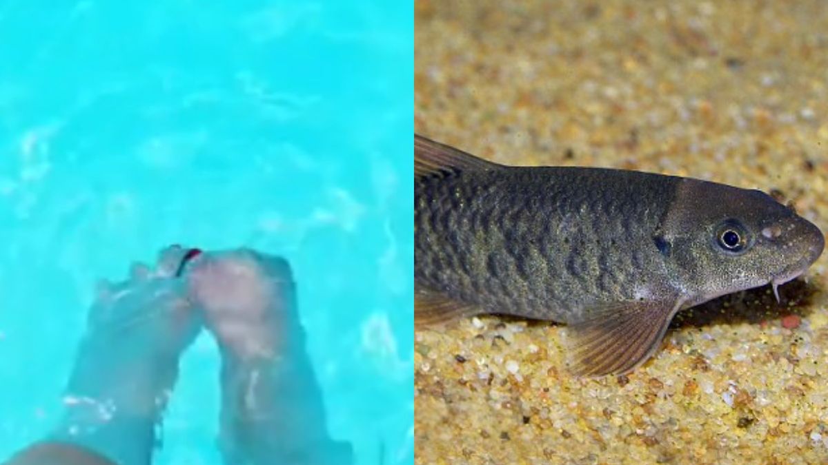 Bakteria dostała się do organizmu kobiety przez zranioną skórę