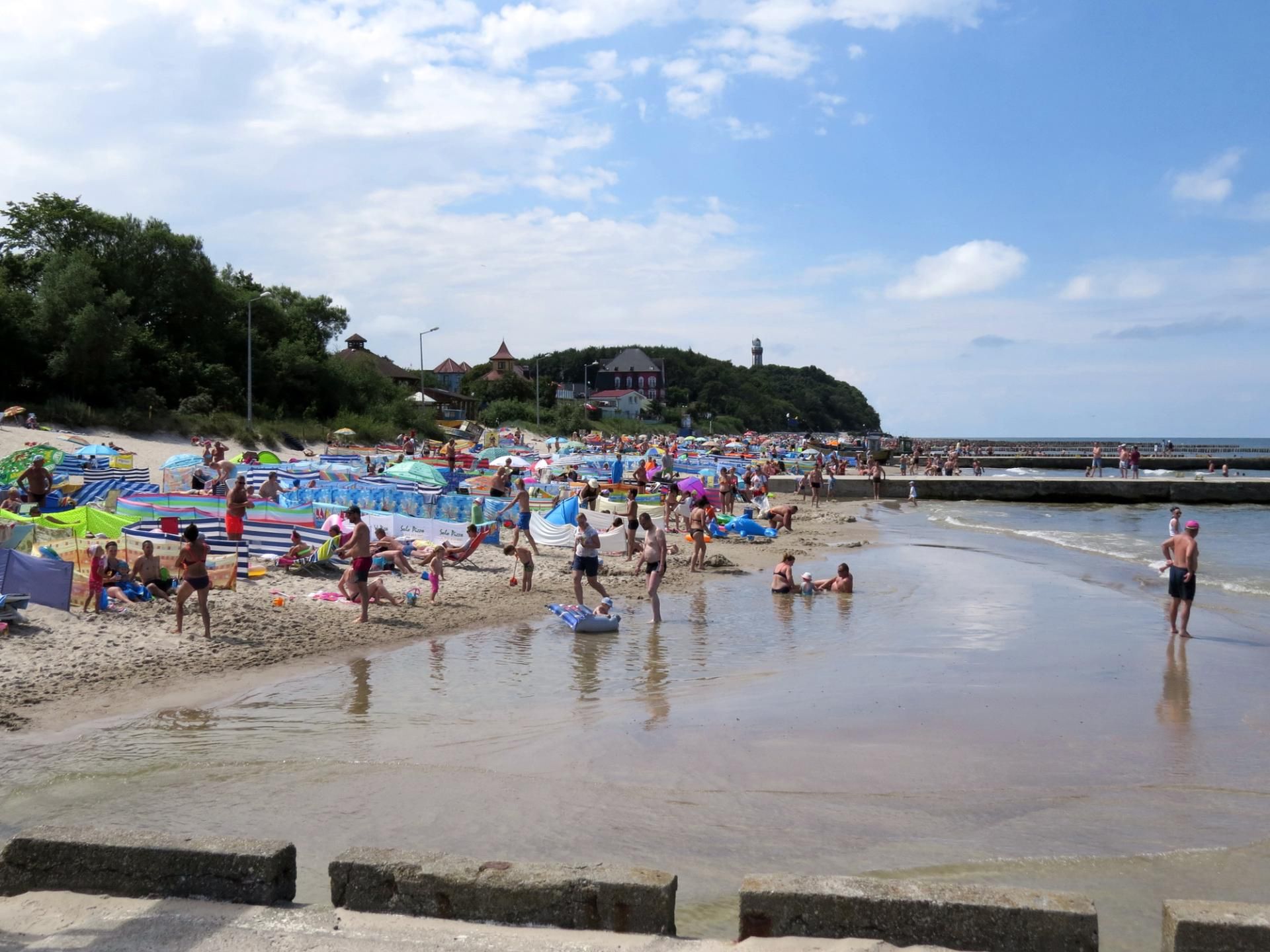 W Bałtyku zagrożeniem mogą być nie tylko sinice