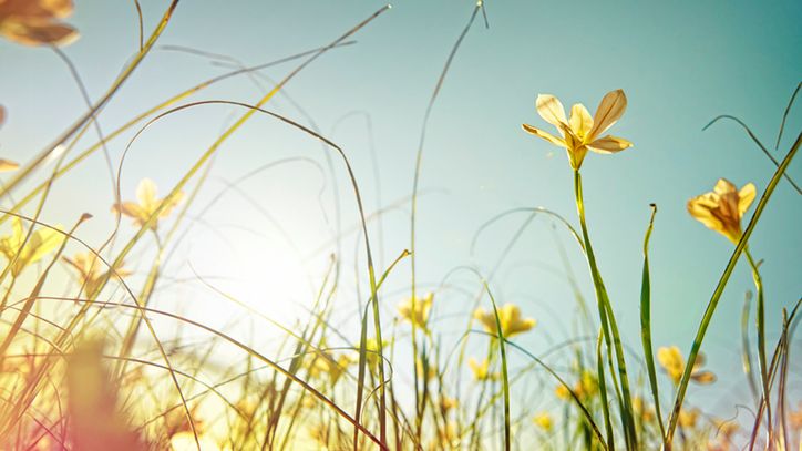 Mikrobiolog bada środowisko roślin i zwierząt.