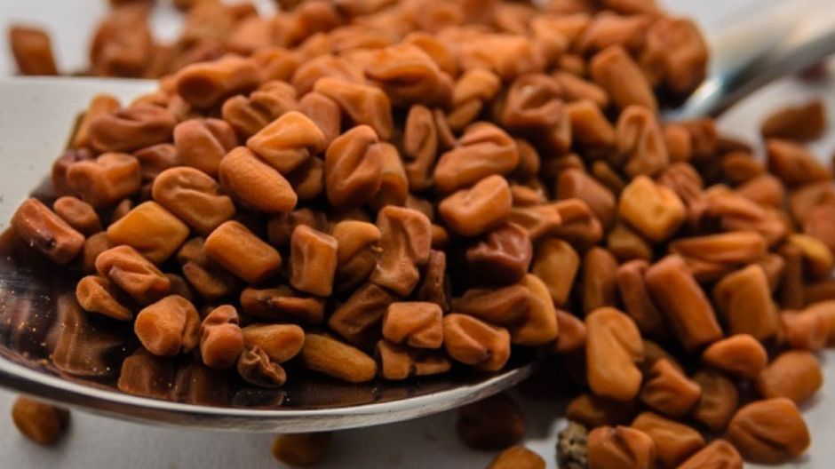 Kozieradka to cenna przyprawa