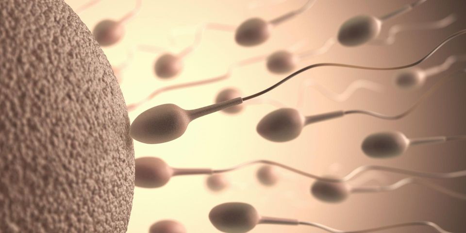 Chemikalia mogą powodować obniżenie jakości spermy