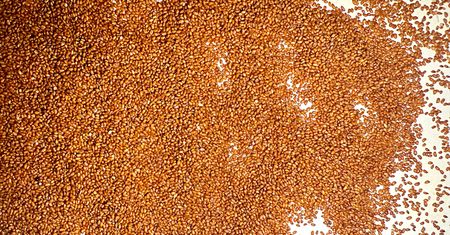 Teff – zboże które nie boi się anemii