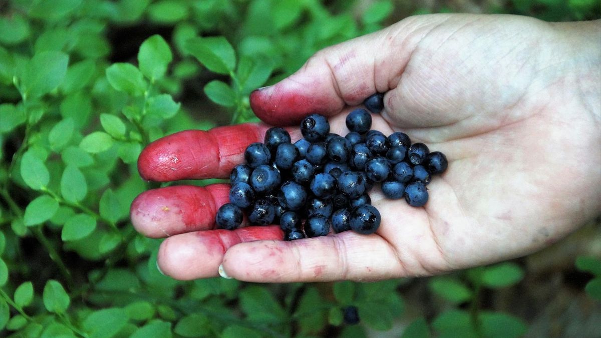 Sok, który chroni przed rakiem skóry. Rewolucyjne odkrycie naukowców