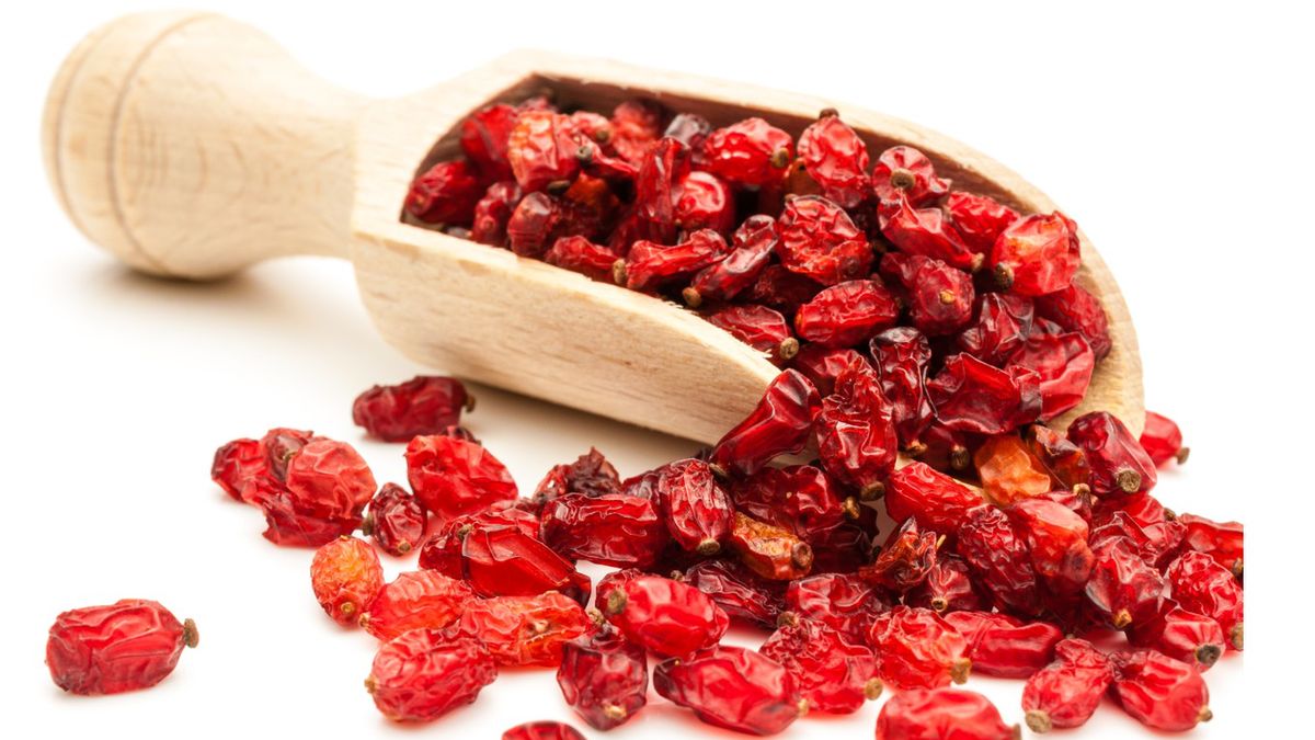 Berberyna pozyskiwana jest z wielu roślin, między innymi krzewu berberysu zwyczajnego.