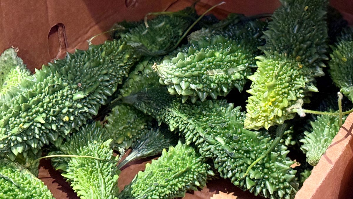 Momordica to roślina, która zaskakuje intensywnym, gorzkim smakiem oraz potencjalnym wpływem na zdrowie