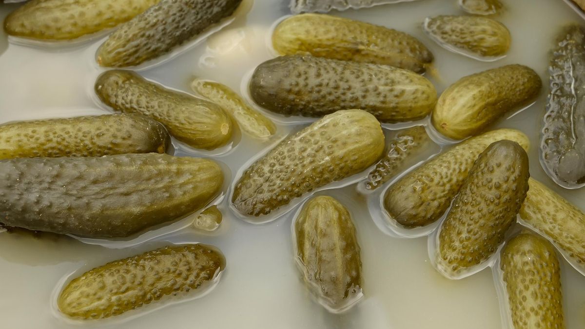 Regularne picie kombuchy może pozytywnie wpływać na poziom stresu