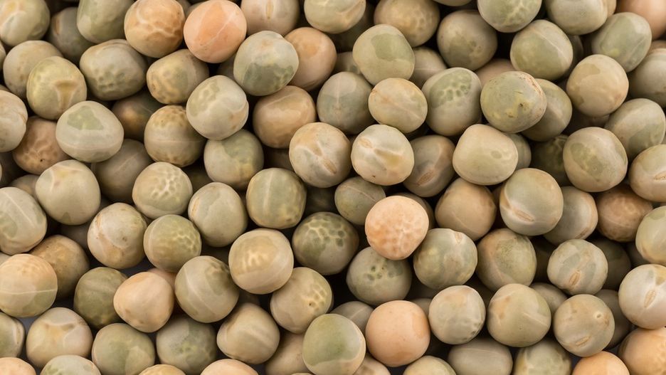 Dieta na lepszą koncentrację – jakie produkty wspomagają twój mózg?