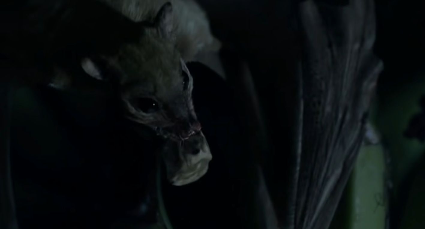 Jaką rolę w filmie odegrają nietoperze? Zdj. Steven Soderbergh (Youtube)