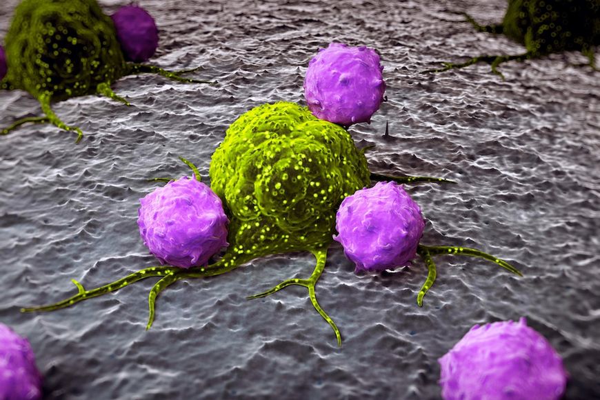 Zabijanie komórek nowotworowych 