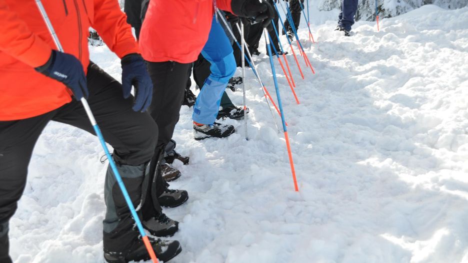 W Laponii zeszła lawina. Nie żyje matka, trwają poszukiwania dziecka