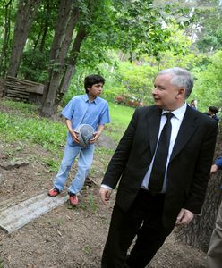 Prezes PiS popiera projekt radykalnych zmian prawa dot. zwierząt