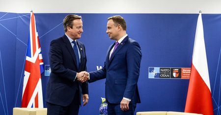 Szczerski: Andrzej Duda z Davidem Cameronem potępili nietolerancję na tle narodowym