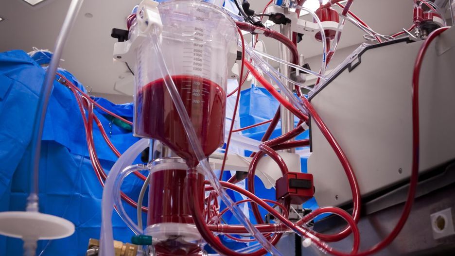 Ciężarne nie szczepią się przeciw COVID-19. Ginekolog: Mogą stracić życie