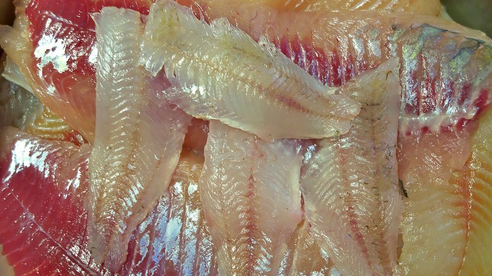 Regeneruje wątrobę, wspiera mózg - tu znajdziesz jej najwięcej