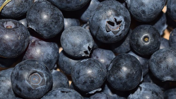 Jagody mogą pomóc obniżyć poziom ciśnienia krwi