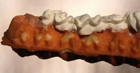 Wystarczy kęs, by się zarazić. Latem to prawdziwa plaga