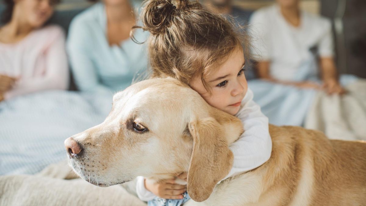 Labrador retriever to doskonały pies dla rodzin z dziećmi.