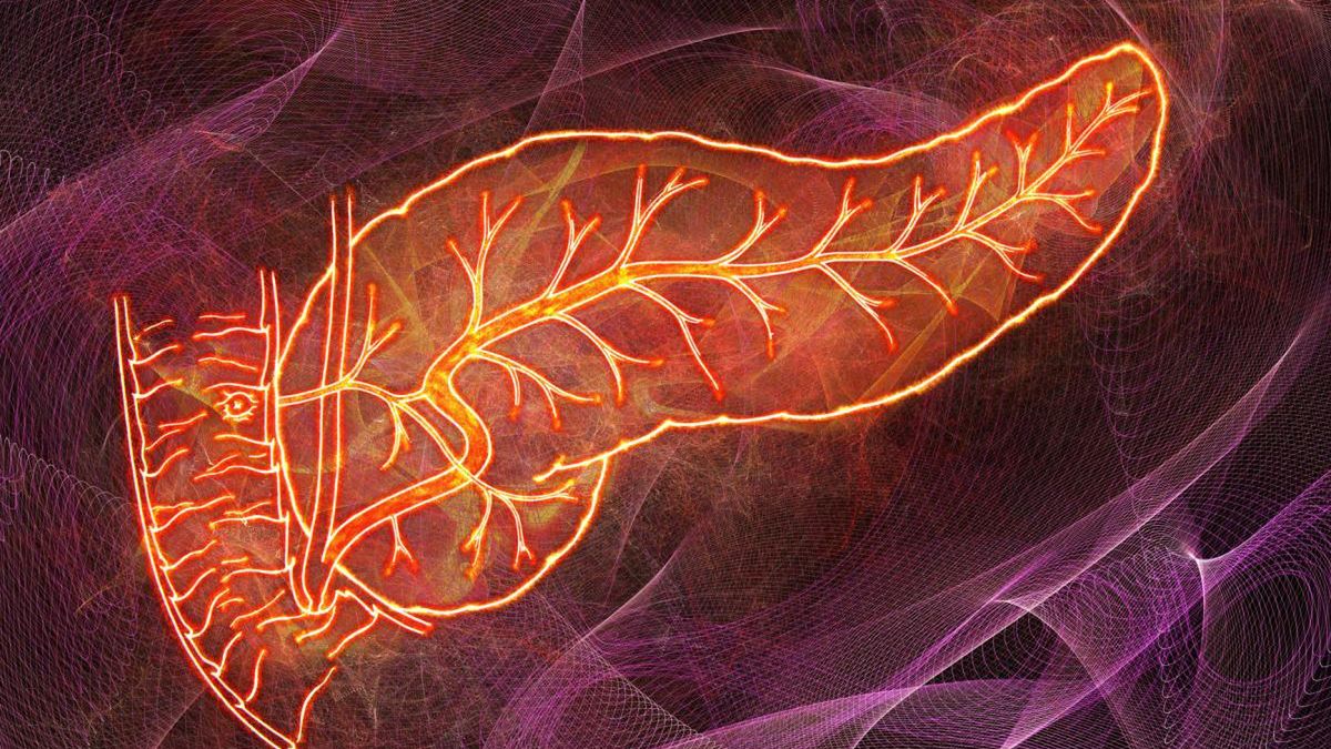 Sekretyna to hormon jelitowy, który działa głównie w trzustce