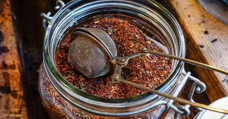 Herbata rooibos obniża ciśnienie i działa przeciwstarzeniowo. Pij regularnie