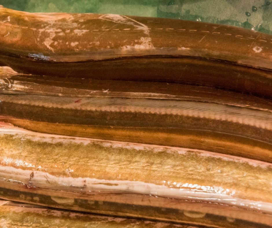 Chroni kości, mięśnie i serce. W tej rybie znajdziesz jej najwięcej