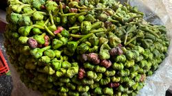 Egzotyczna przekąska hamuje stres oksydacyjny. Właściwości kasztanów wodnych