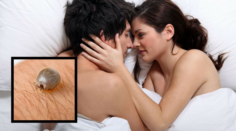 Borelioza chorobą dziedziczną i przenoszoną droga płciową? Niepokojące informacje