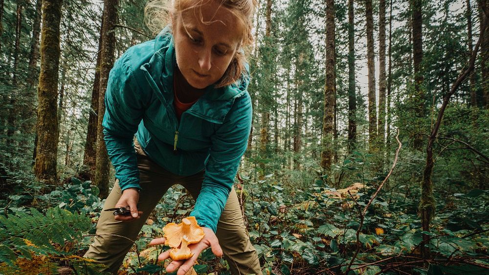Pojawiły się wcześniej, niż zwykle. Grzyby zaskoczyły nawet leśników