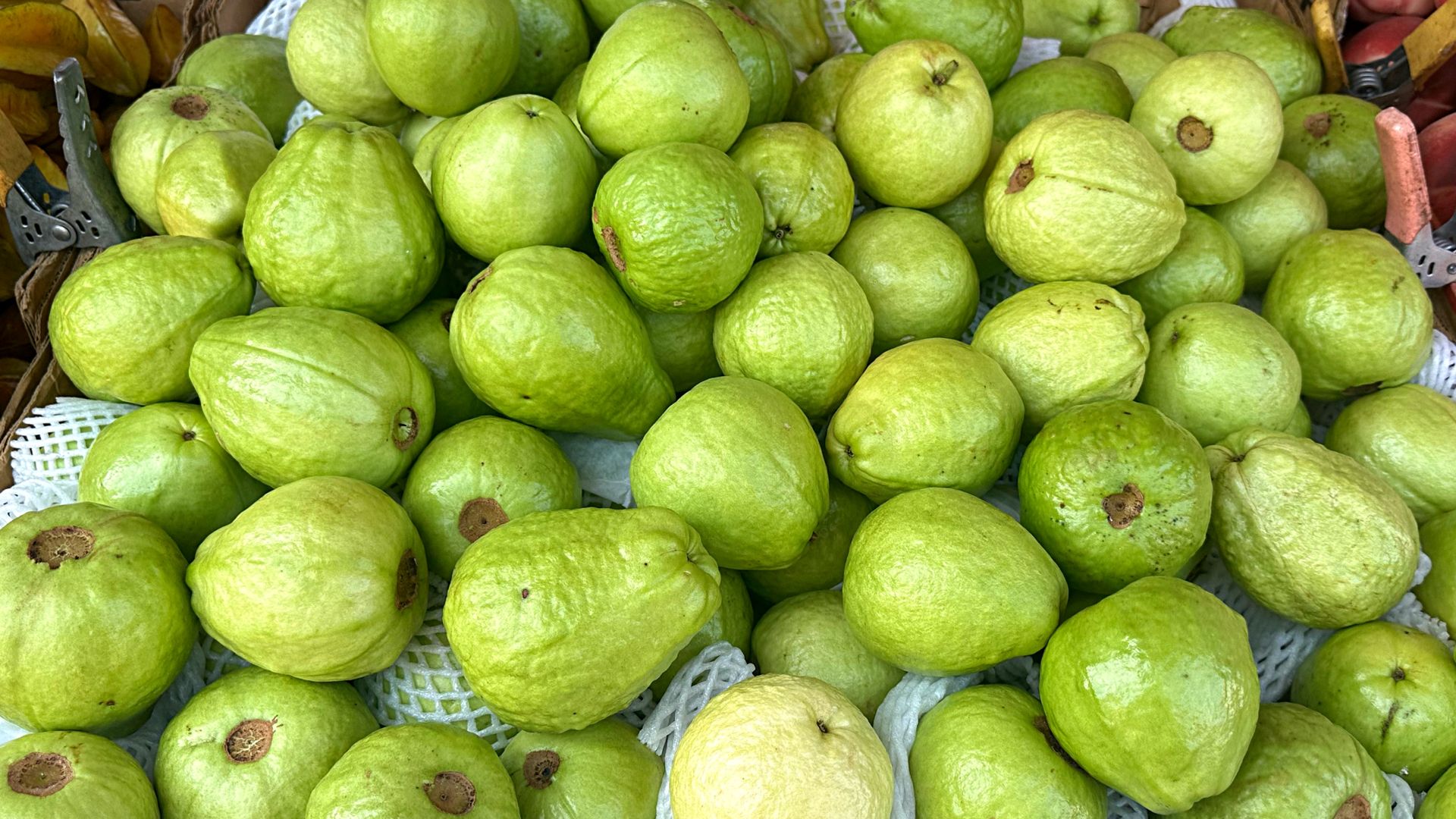 Gujawa, dzięki dużej zawartości elektrolitów, to doskonały owoc dla osób aktywnych fizycznie.