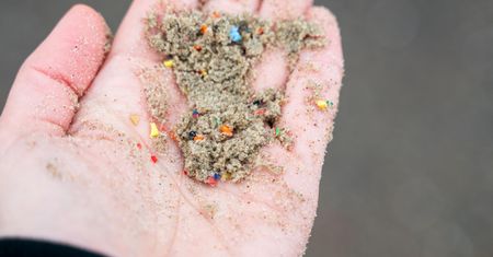 Mikroplastik sprzyja rozprzestrzenianiu bakterii odpornych na antybiotyki. Naukowcy alarmują