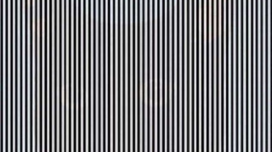 Złudzenie optyczne. Co widzisz na obrazku?