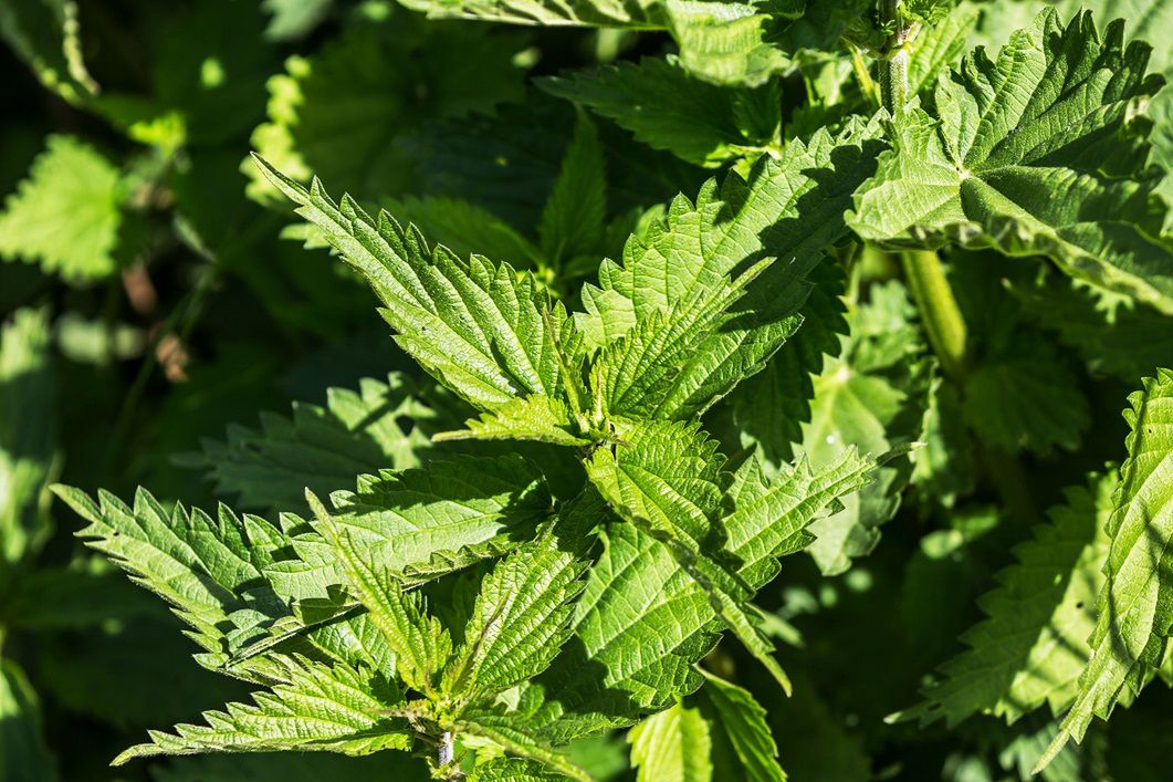 Nietypowy objaw raka trzustki